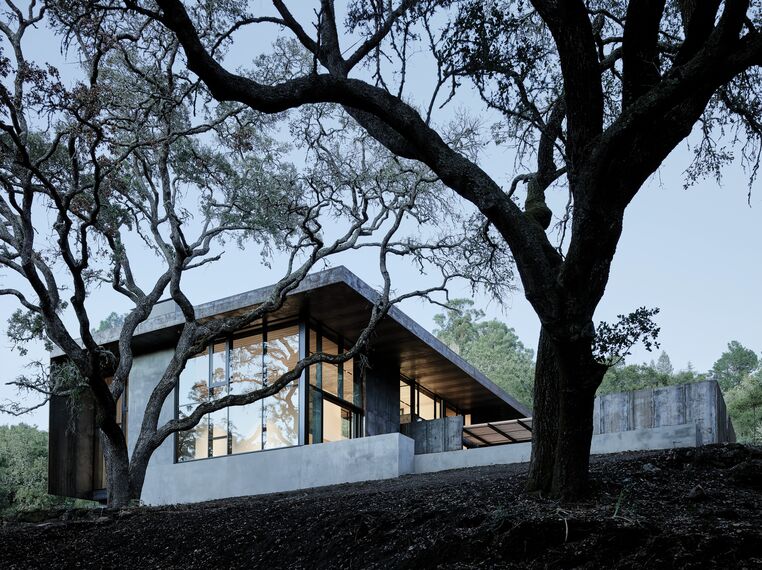 ConceptSystem 68 Fenêtres, ConceptWall 50 Murs rideaux et ConceptPatio 130 Coulissants - Villa The Giving Tree situé àÉtats-Unis d'Amérique